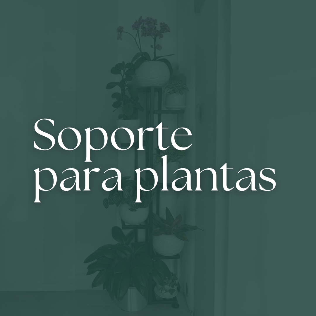 Soportes para plantas