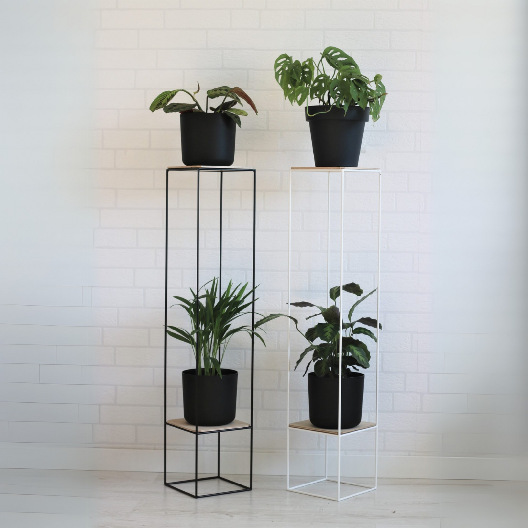 Soporte Ibiza