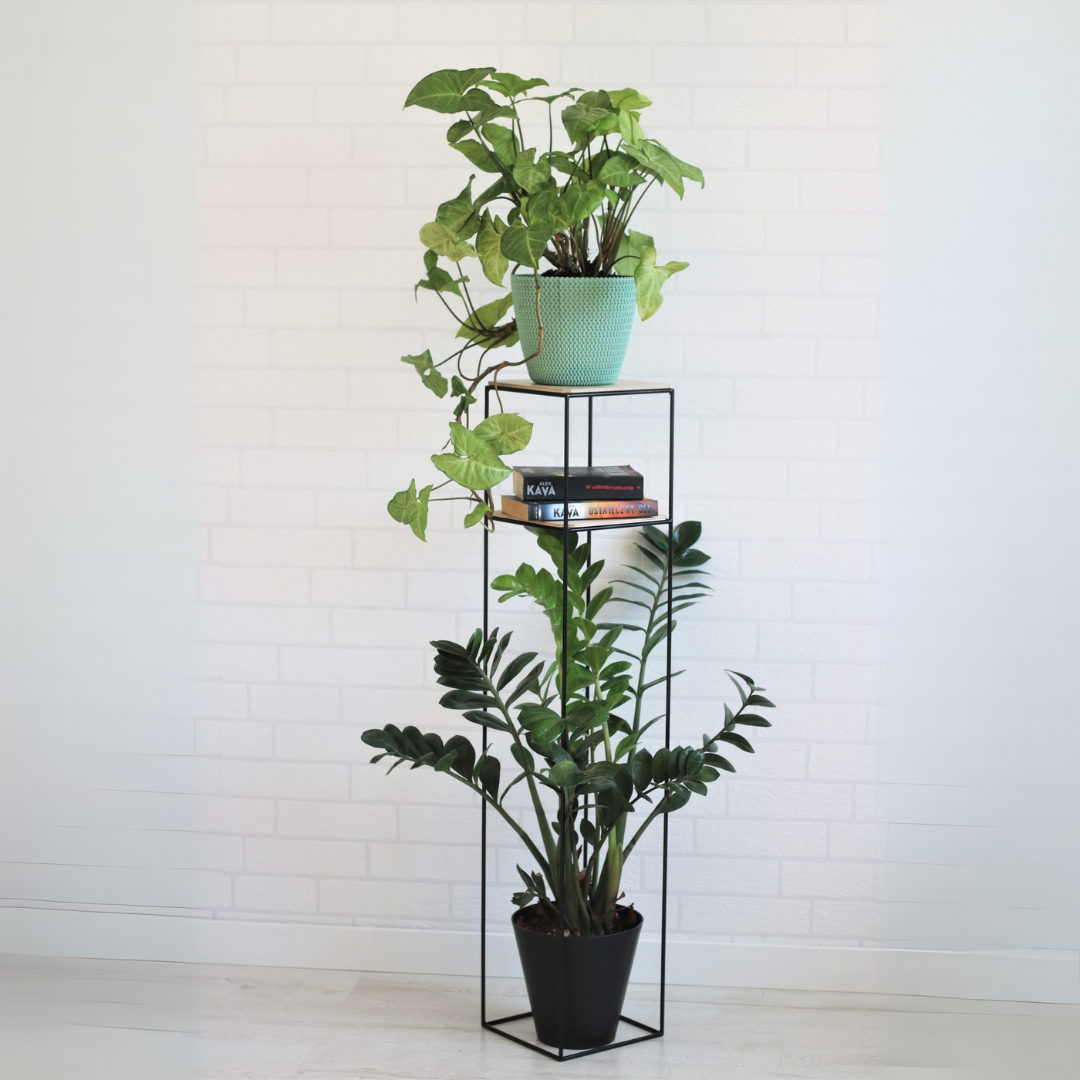 Soporte Ibiza